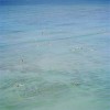 4_photo_surf_raphael_dautigny_meubles_et_lumieres.jpg